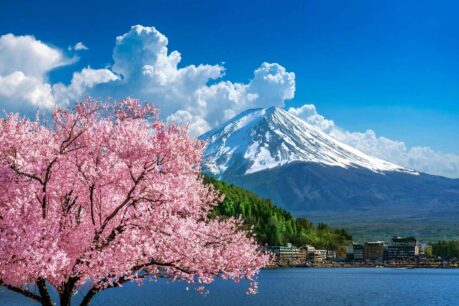 More than a postcard—Mount Fuji from Lake Kawaguchiko during sakura season captures Japan’s timeless reverence for nature. Photo by Unsplash+ x Getty Images.