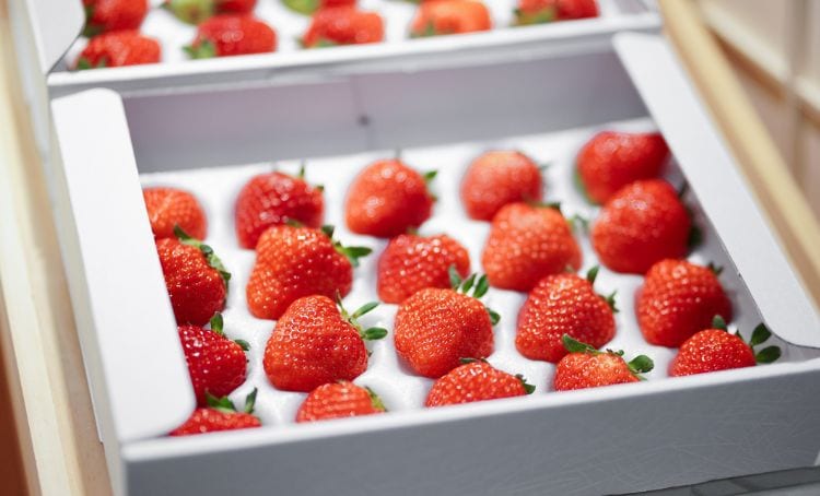 Japanese strawberries