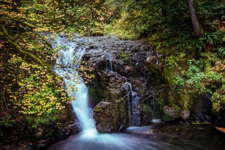 waterfall in North Cascades NP