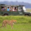 Safari in Africa. Photo by Canva