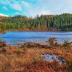 Skye’s boggy Peatland. Photo by Eva Badola