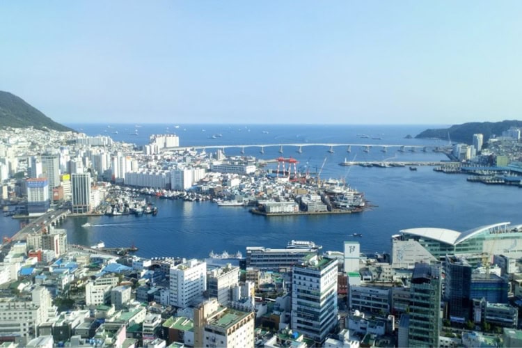 Views from Busan Tower