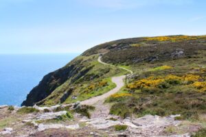 El Camino de Santiago. Photo by Canva