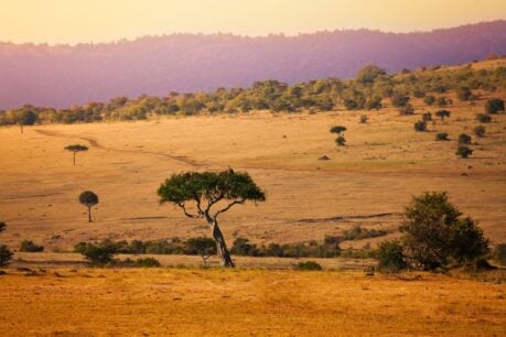 Beautiful Kenya. Photo by Canva
