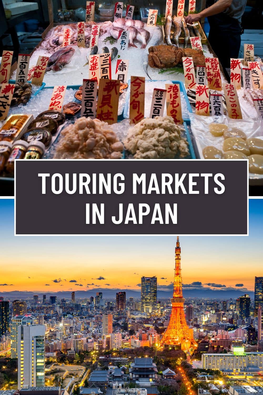 Visiting Markets in Japan: A Fun Introduction to Japanese Cuisine