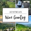 Explore Austrian wine country.