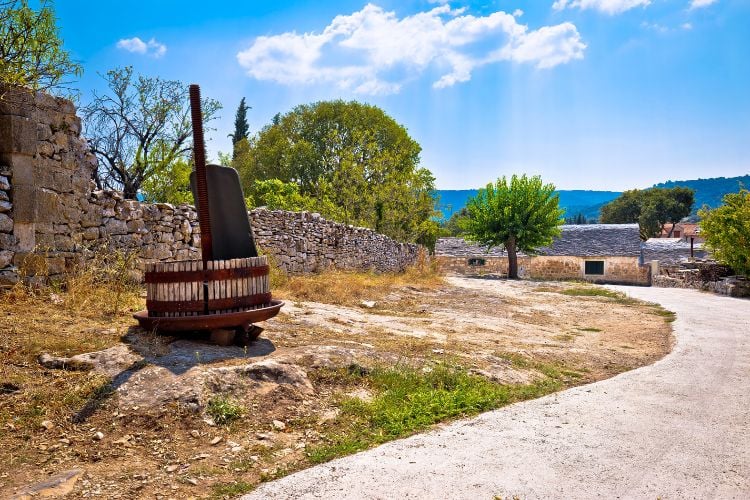 Skrip on Brac