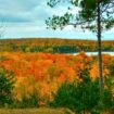 Fall in Wisconsin. Photo by Frank Hosek