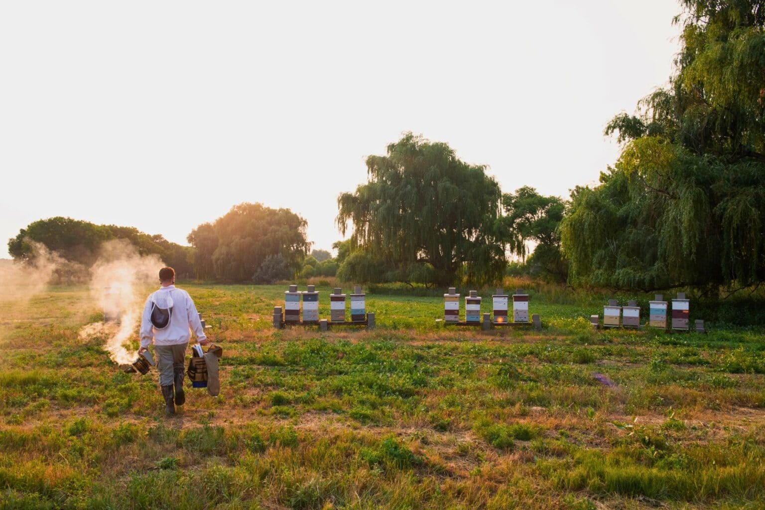 KJ Ruiz Tencza heading to the Eagles Nest Ranch hives. Photo by Chad Chisholm