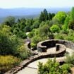 Mt Tomah Botanical Gardens. Photo by Ayan Adak