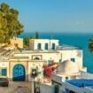 Traditional blue and white houses in Sidi Bou Said, Tunisia. Photo by Leonid Andronov via Canva