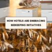 How hotels are embracing beekeeping initiatives
