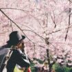 Woman photographing cherry blossoms. Photo by Getty Images for Unsplash +
