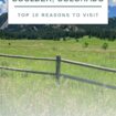 Pinterest - An idyllic summer day with lush green space before Boulder's iconic Flatirons