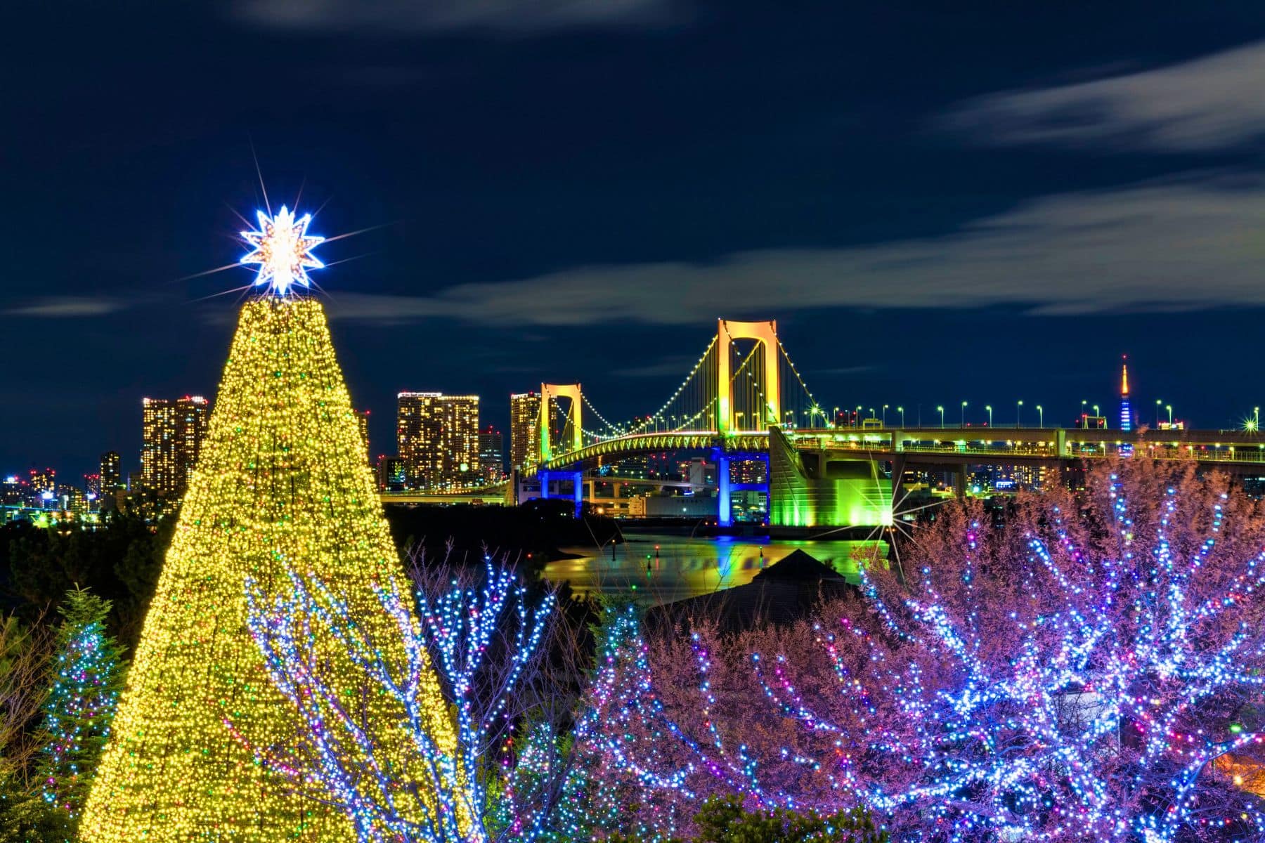 Odaiba lights up for the holidays. Photo by recep-bg
