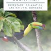 Keel-billed Toucan in Costa Rica Pinterest