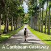 Pinterest - Photo by Tom Jur on Unsplash of a person riding a skateboard down a tree-lined road