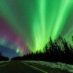Aurora borealis in Fairbanks, Alaska. Photo by Youli Zhao from Getty Images via Canva