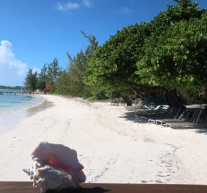 BVI Inviting beaches are one attraction among many in the British Virgin Islands.