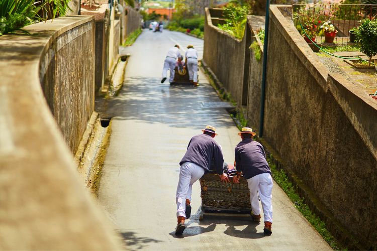 Street tobogganing