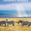 Ngorongoro Crater, Tanzania - Pinterest