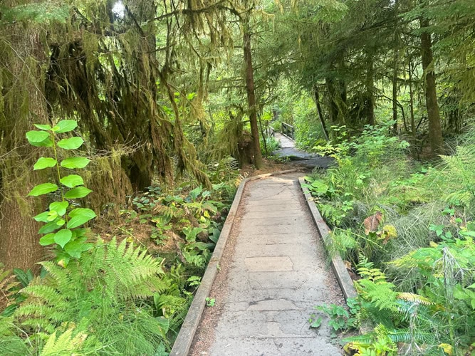A trail in Watershed Park