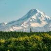 Mt. Hood on a sunny day