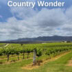 Pinterest image of rows and rows of vines at Nicita Estate, Hunter Valley