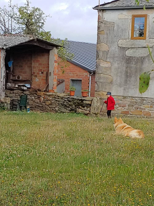As we wandered through fields of horses, sheep, and cows, we spotted a woman who resembled a subject from a Norman Rockwell painting