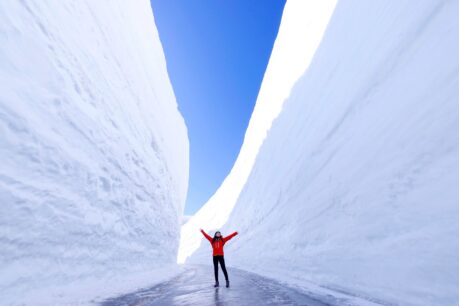 You can see how high the snow is. Photo courtesy of Tateyama Kurobe Alpine Route