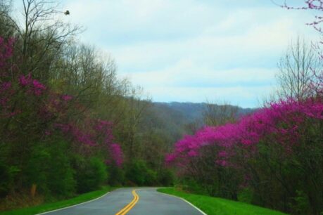 Exploring the Natchez Trace Parkway in Tennessee