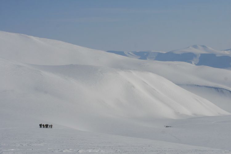 Beautiful frozen landscape