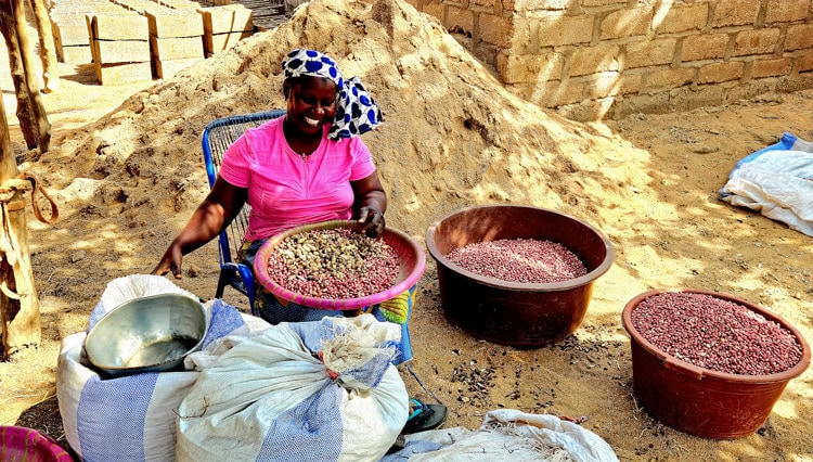 Shelling peanuts in the friendly village of Siby where peanuts are the economic mainstay