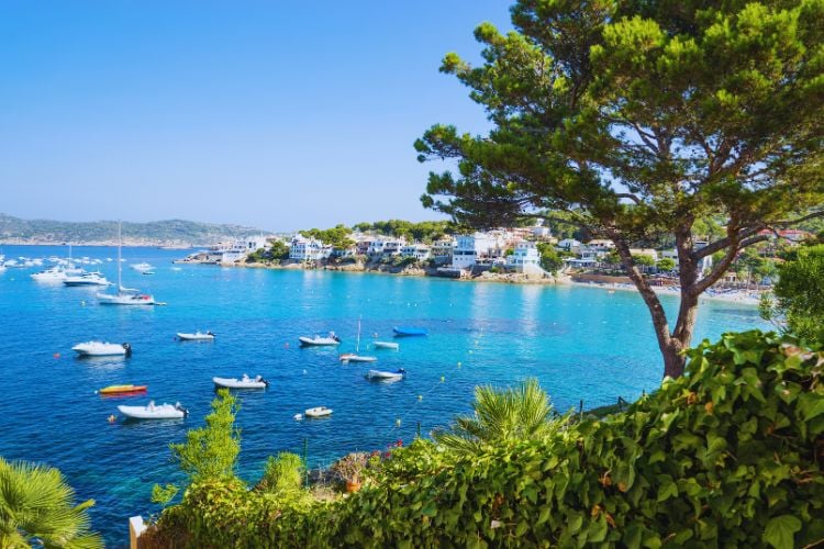 Boats in a harbour in Mallorca