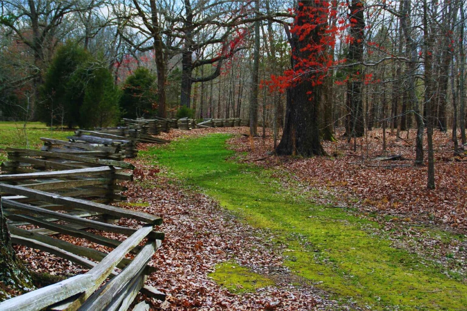 Exploring the Natchez Trace Parkway in Tennessee