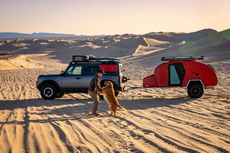 A man enjoying a road trip with his best companions