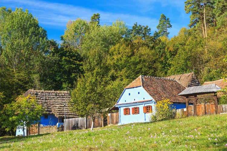 Astra Ethnographic Museum in Sibiu.