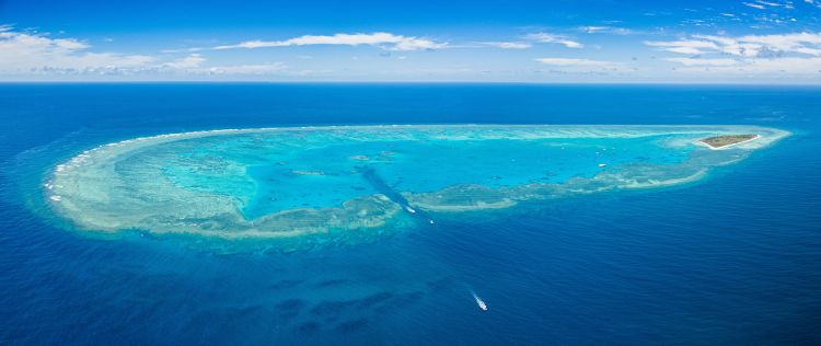 Lady Musgrave Island