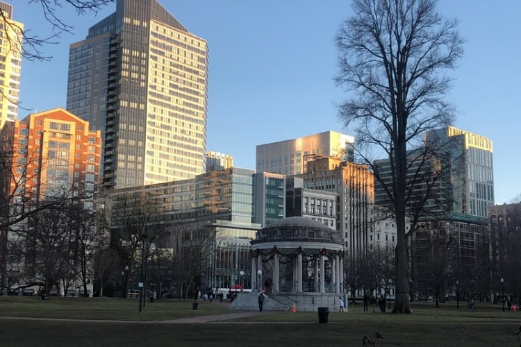 Inside the urban green space of Boston Common