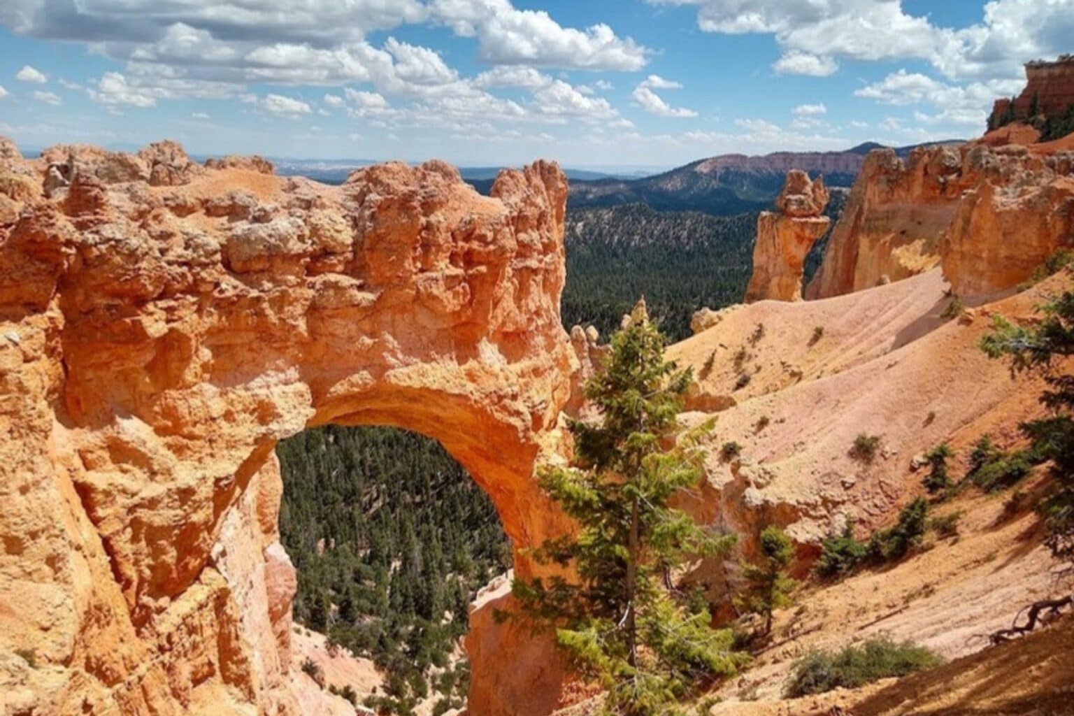 From Arches to Zion, Utah: A Red Rock Road Trip