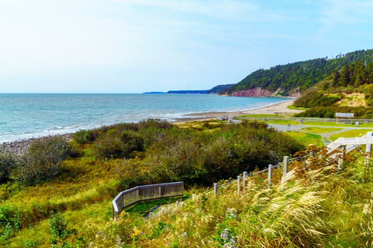 Fundy Trail