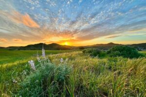 The rolling hills of Conejo Valley offer hiking trails with spectacular sunsets just an hour north of Los Angeles, a perfect escape for travelers seeking nature without venturing far from urban comforts. Photo courtesy of Visit Conejo Valley