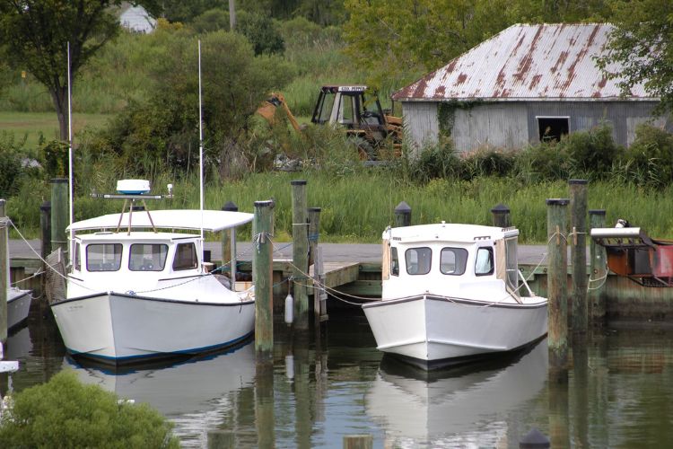 Dockside fishing boats