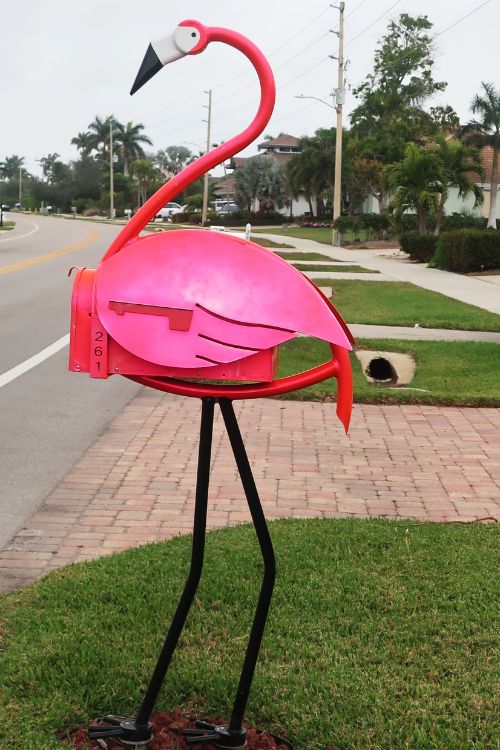 Pink flamingo mailbox