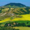 Green hills near Imola Italy