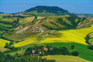 Green hills near Imola Italy