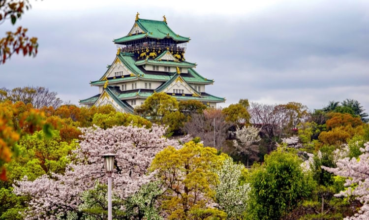 Osaka Castle during peak bloom