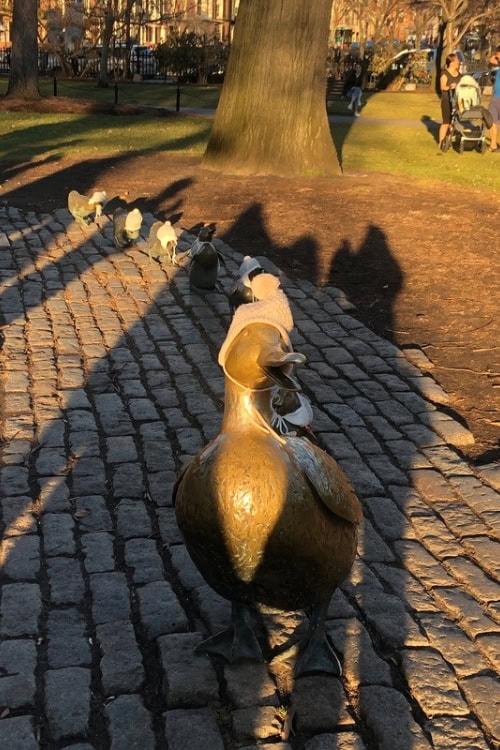 Bronze statues of Make Way for Ducklings in Boston Public Garden