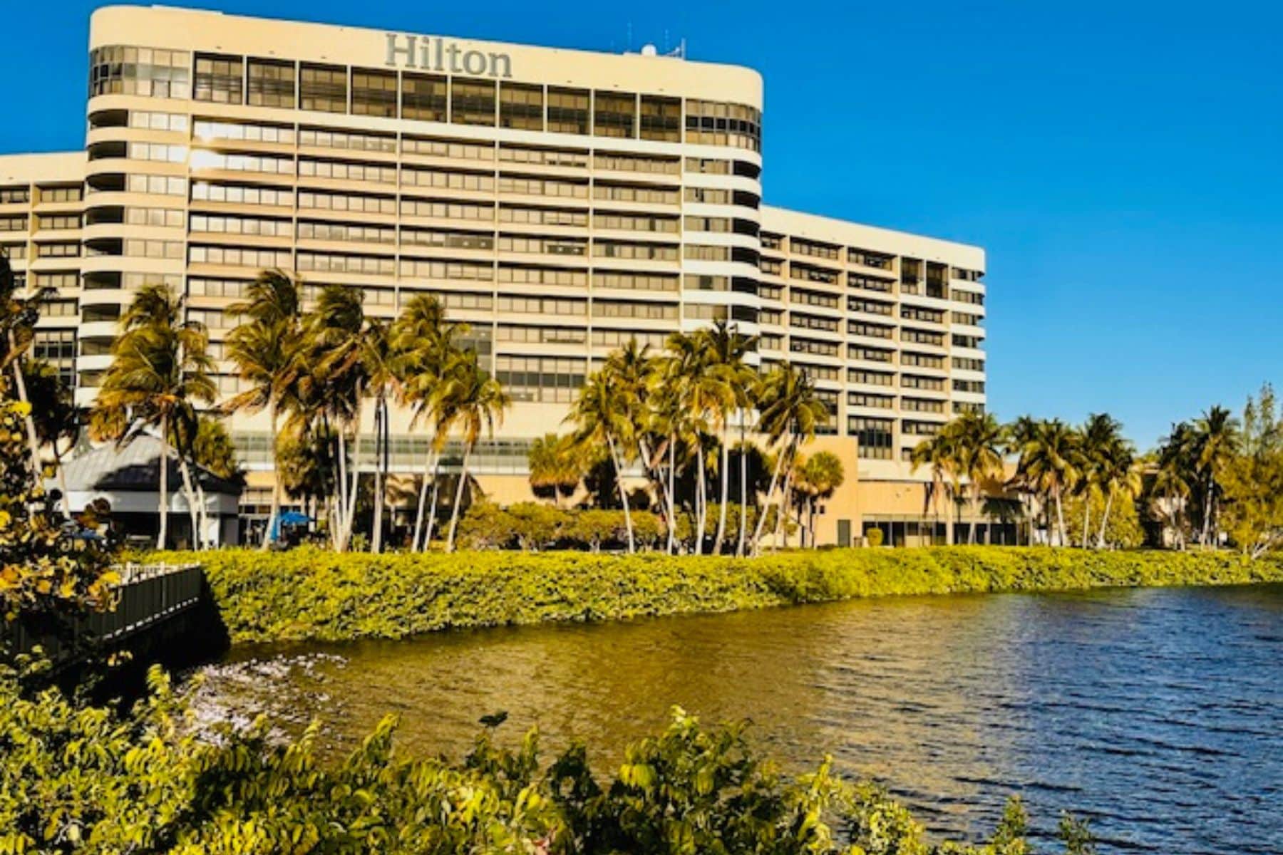 Miami Airport Hilton’s Blue Lagoon. Photo by Harrison Shiels
