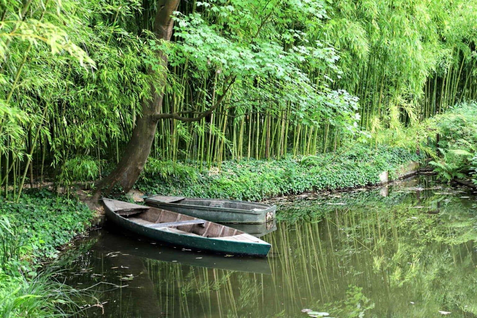 Rowboats in a body of water in Giverny, France. Photo by PDB, Unsplash